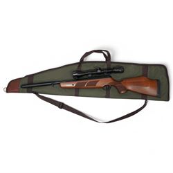 BSA .22 calibre air rifle with telescopic sight in soft case 