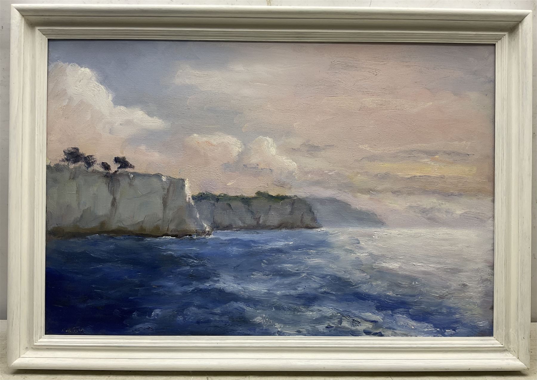 Neil Tyler (British 1945-): 'Homing Past the Calanques to Cassis', oil on canvas signed, titled on label verso 50cm x 75cm