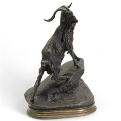 After Jules Moigniez, bronze figure of a goat climbing a rock, on oval plinth, inscribed signature, H28cm